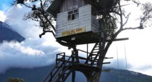 Как сделать дом на дереве. Возраст пользователя