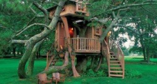 Как сделать дом на дереве. Возраст пользователя