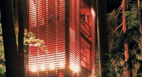 Как сделать дом на дереве. Возраст пользователя