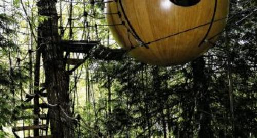 Как сделать дом на дереве. Возраст пользователя