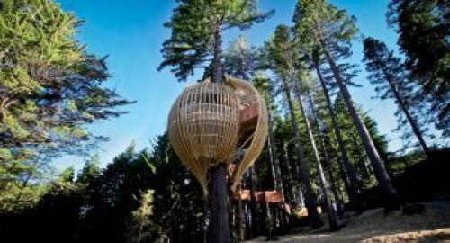 Как сделать дом на дереве. Возраст пользователя