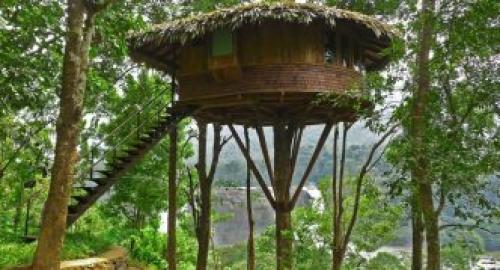 Как сделать дом на дереве. Возраст пользователя