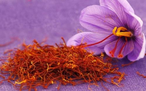 Интересные факты о приготовлении пищи. Особенности разных продуктов