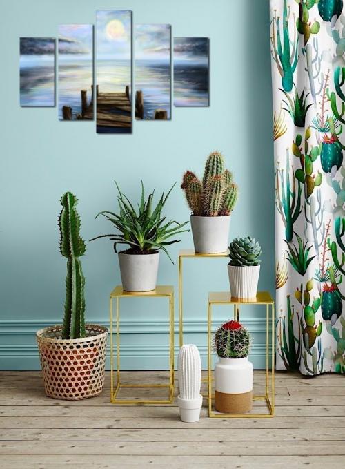 Фиалки в интерьере гостиной. Оформление интерьера с помощью комнатных растений