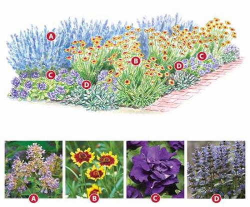Прямоугольная клумба оформление. Как сделать красивую клумбу: 15 схем для цветника
