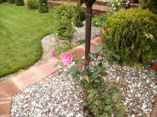 Оформление клумб на дачном участке. Оформление клумб — 115 фото лучших вариантов оформления клумб своими руками