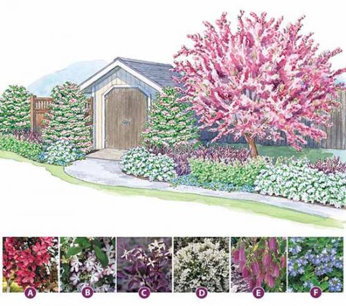 Прямоугольная клумба оформление. Как сделать красивую клумбу: 15 схем для цветника