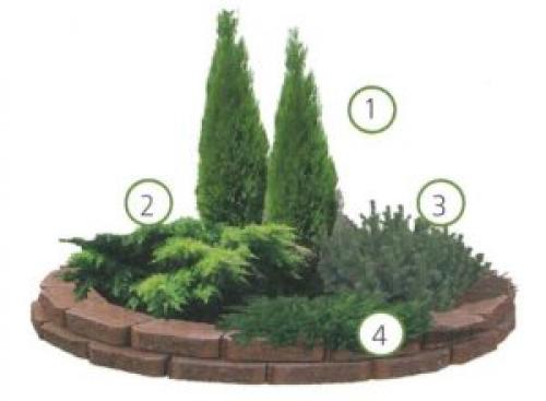 Оформление клумб камнями. Клумба из камней своими руками: как выложить цветник пошагово, фото