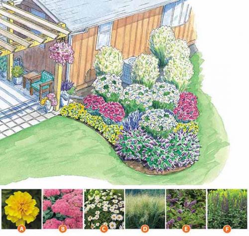 Прямоугольная клумба оформление. Как сделать красивую клумбу: 15 схем для цветника