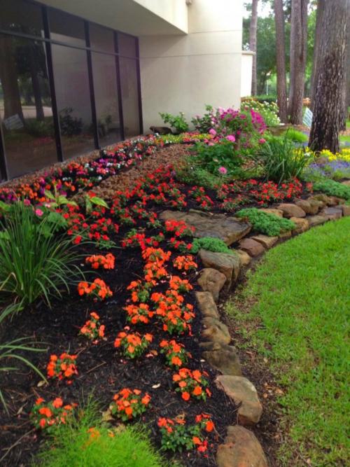 Озеленение двора частного дома. Озеленение двора: 155 фото и видео описание, как выполнить озеленение участка