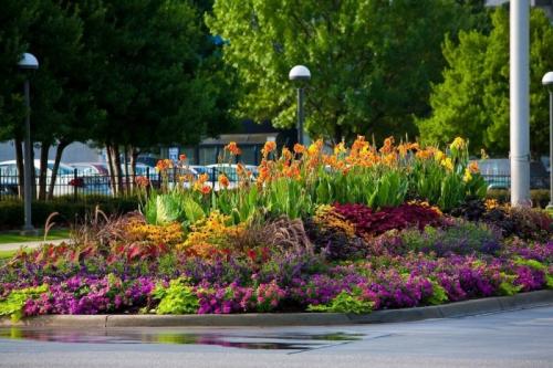 Озеленение двора частного дома. Озеленение двора: 155 фото и видео описание, как выполнить озеленение участка