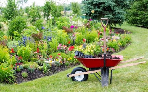 Озеленение двора частного дома. Озеленение двора: 155 фото и видео описание, как выполнить озеленение участка