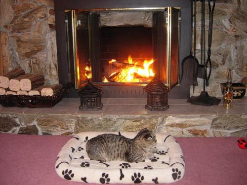 Атмосферный вечер рядом с камином. 