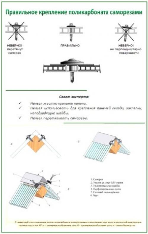 Как покрыть теплицу поликарбонатом своими руками. Установка поликарбоната на теплицу: технические характеристики 06