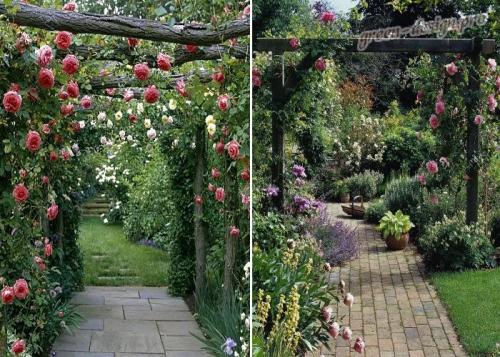 Как сделать арку для розы плетистой своими руками. Арка для роз своими руками из дерева