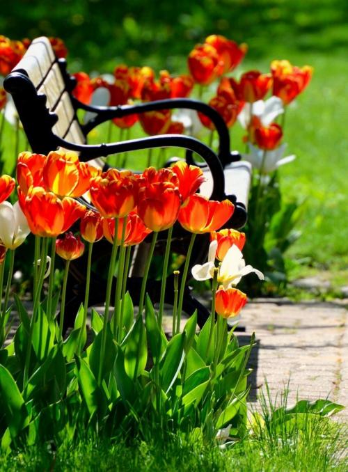 Основание скамейки из металла. Виды конструкций и фото садовых скамеек