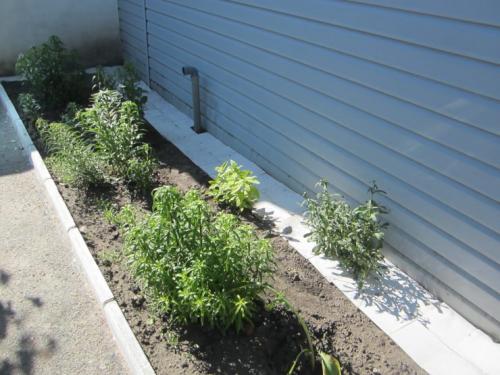 Красивая отмостка вокруг дома своими руками. Отмостка дома своими руками —, как сделать защита фундамента? Пошаговая инструкция (71 фото)