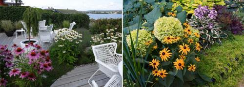 Долгоцветущие многолетники для сада. Многолетние цветы для дачи