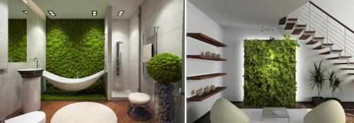 Фитостена в интерьере кухни. Изготовление фитостены из фитомодулей своими руками. Как сделать из искусственных и живых растений?