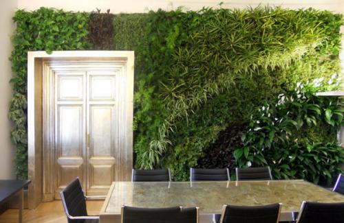 Фитостена в интерьере кухни. Изготовление фитостены из фитомодулей своими руками. Как сделать из искусственных и живых растений?