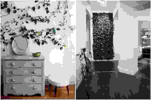 Цветы в интерьере дома. Растения в интерьере прихожей