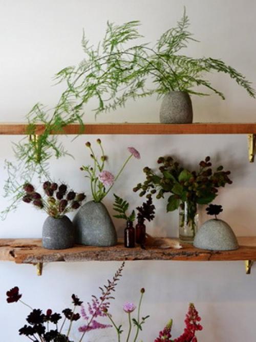 Комнатные цветы на стене. Размещение цветов в интерьере на стенах