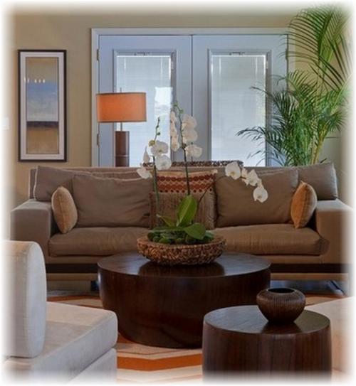 Орхидея в интерьере жилого дома. Украшение дома орхидеями, орхидеи в интерьере