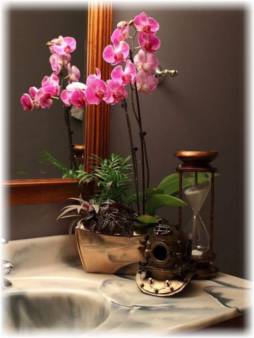 Орхидея в интерьере жилого дома. Украшение дома орхидеями, орхидеи в интерьере