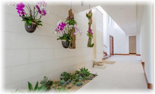 Орхидея в интерьере жилого дома. Украшение дома орхидеями, орхидеи в интерьере