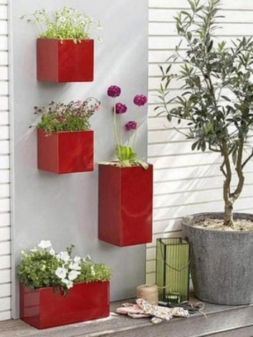 Комнатные цветы на стене. Размещение цветов в интерьере на стенах