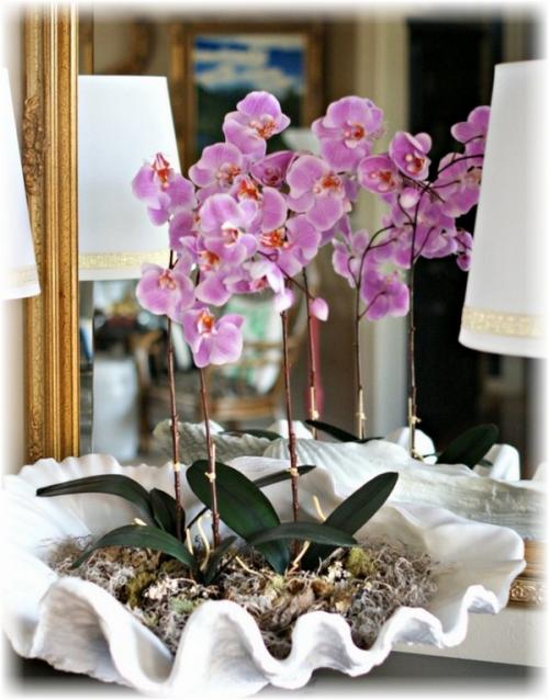 Орхидея в интерьере жилого дома. Украшение дома орхидеями, орхидеи в интерьере
