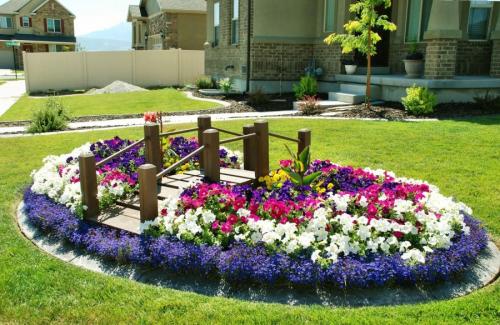 Планировка клумбы из многолетников своими руками для начинающих. Клумбы из многолетников: правила и особенности выращивания для новичков (85 фото)