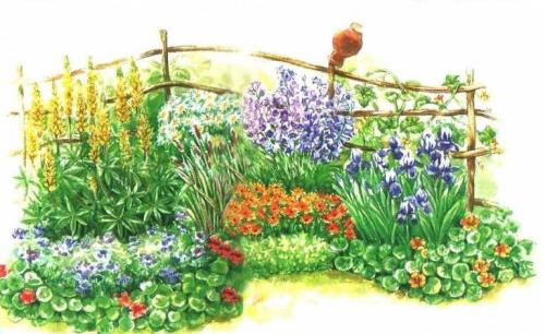 Планировка клумбы из многолетников. Круглая клумба одинаковых многолетников 15