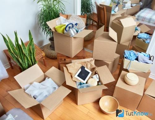 Про плюшкиных силлогоманы. Причины возникновения аномального накопительства