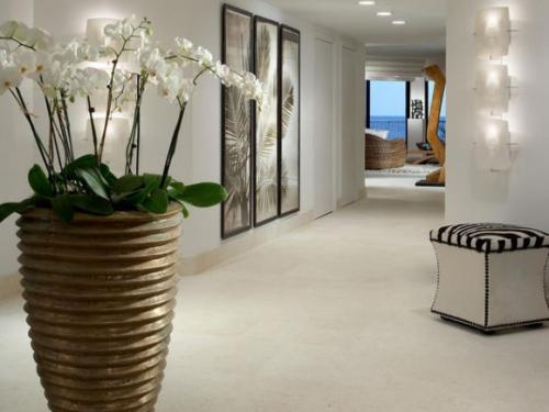 Орхидеи на стене в интерьере. Орхидеи в интерьере: элегантные и нежные