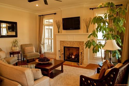 Интерьер гостиной с цветами. Растения в дизайне современной гостиной