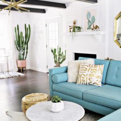 Алоэ в интерьере квартиры. Оформление интерьера растениями