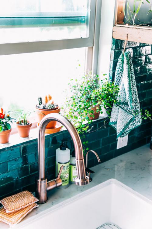 Какие цветы поставить в зале. Кухня