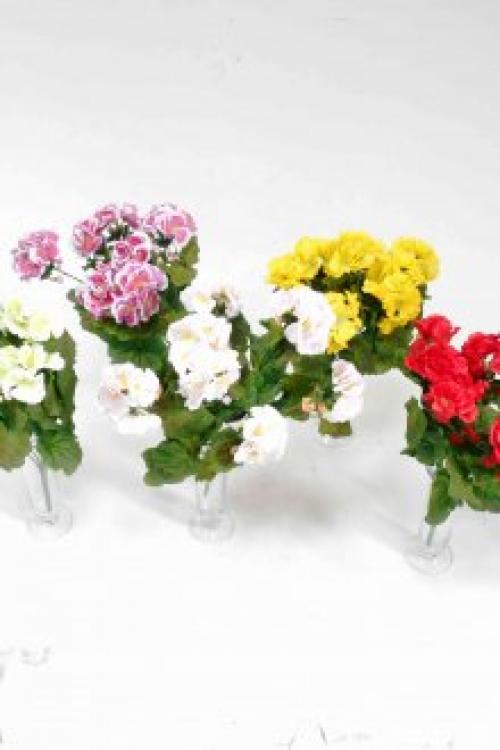 Алоэ в интерьере квартиры. Оформление интерьера растениями