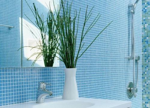 Какой цвет для ванной комнаты по васту. Благоприятные цвета в ванной комнате по фен-шуй
