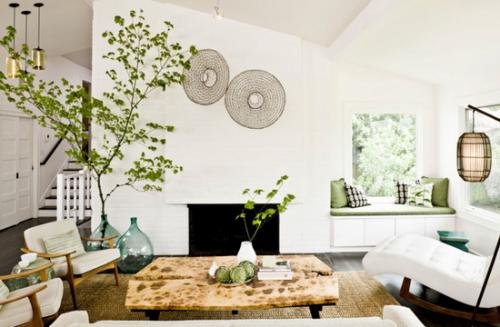 Растения в квартире дизайн. Правила размещения растений в квартире при озеленении интерьера