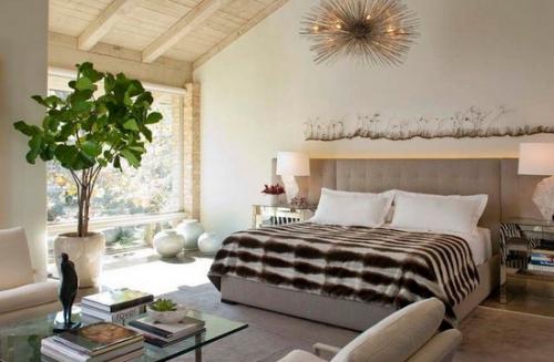 Растения в квартире дизайн. Правила размещения растений в квартире при озеленении интерьера