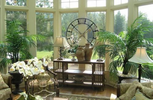 Растения в квартире дизайн. Правила размещения растений в квартире при озеленении интерьера