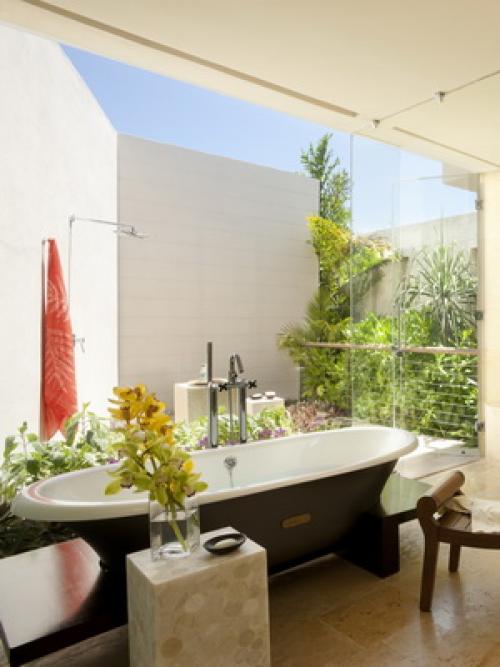 Интерьер квартиры с цветами. Комнатные цветы в интерьере ванной комнаты