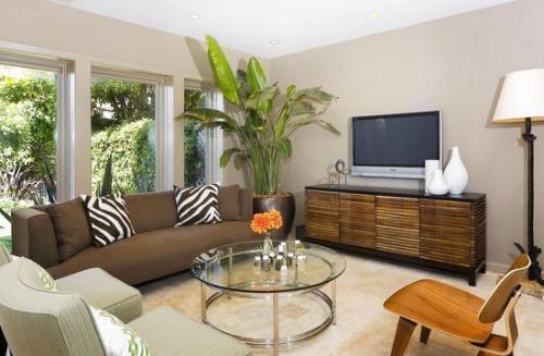 Растения в квартире дизайн. Правила размещения растений в квартире при озеленении интерьера