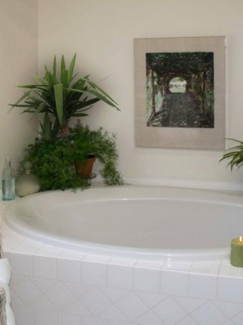 Интерьер квартиры с цветами. Комнатные цветы в интерьере ванной комнаты