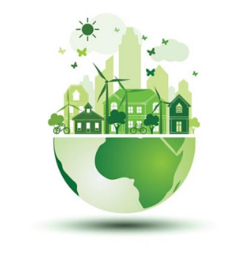 Какие экологически чистые обои. Какие обои экологичнее? 05