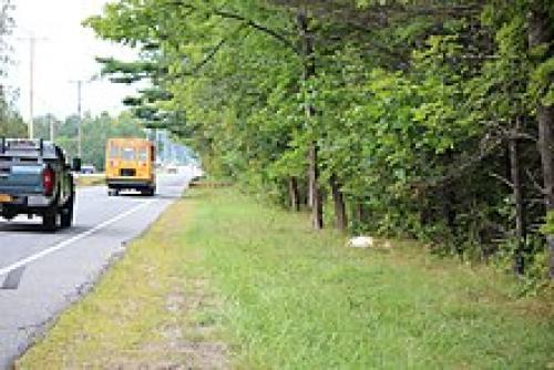 Какие экологически чистые обои. Какие обои экологичнее? 02