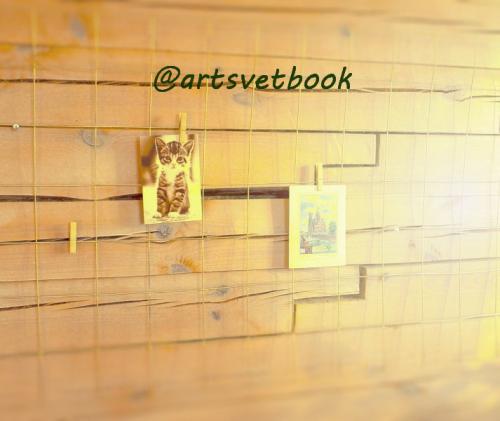 Как сделать мудборд из сетки. Создаём мудборд — доску настроения своими руками