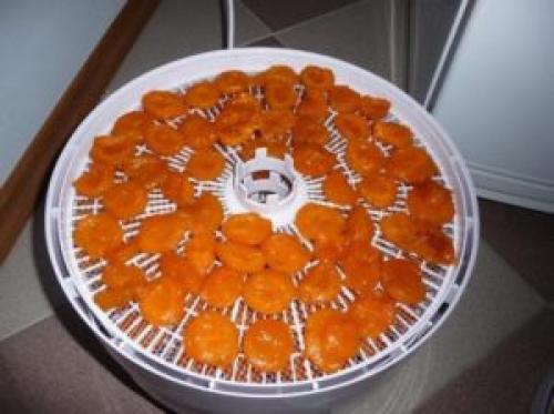 Сушилка для фруктов сколько сушить. Как сушить фрукты в сушилке